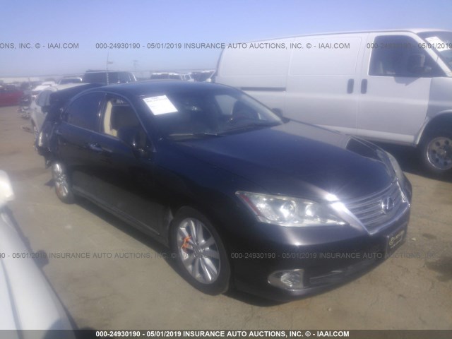 LEXUS ES 350 2010 jthbk1eg0a2368861