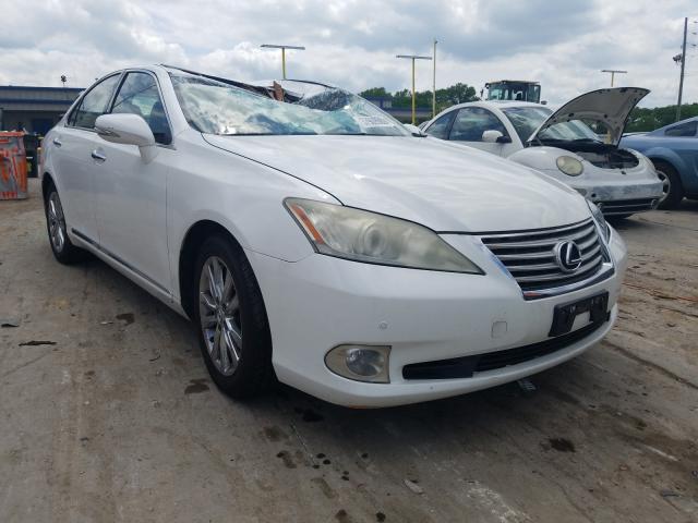 LEXUS ES 350 2010 jthbk1eg0a2369248