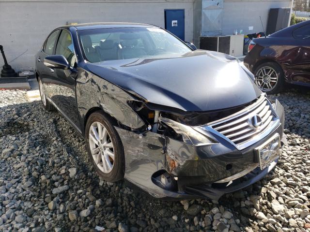 LEXUS ES 350 2010 jthbk1eg0a2369332