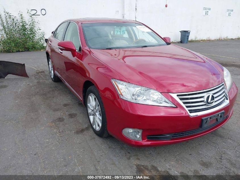 LEXUS ES 2010 jthbk1eg0a2371338