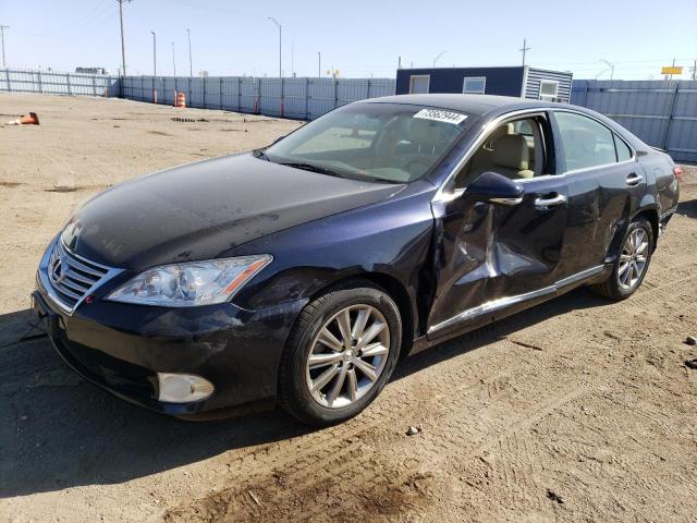 LEXUS ES 350 2010 jthbk1eg0a2371730