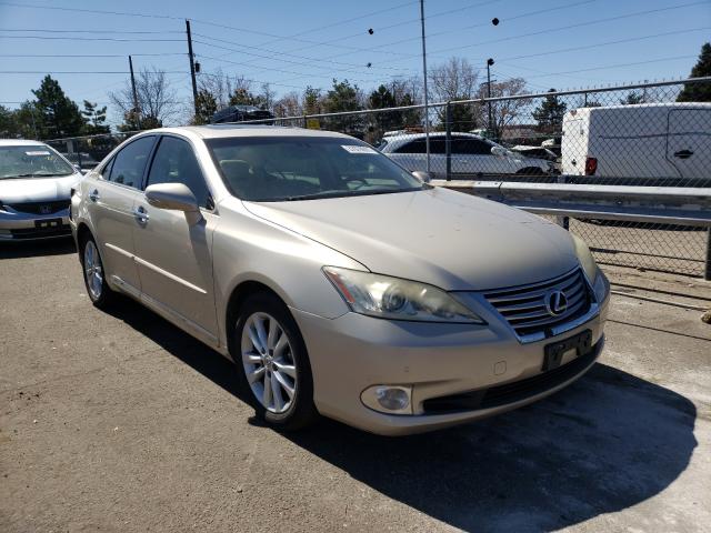 LEXUS ES 350 2010 jthbk1eg0a2376054