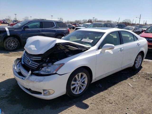 LEXUS ES 350 2010 jthbk1eg0a2376197