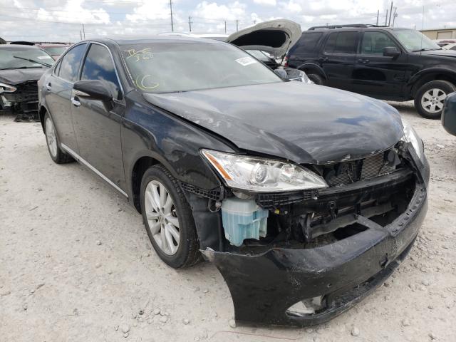 LEXUS ES 350 2010 jthbk1eg0a2376295