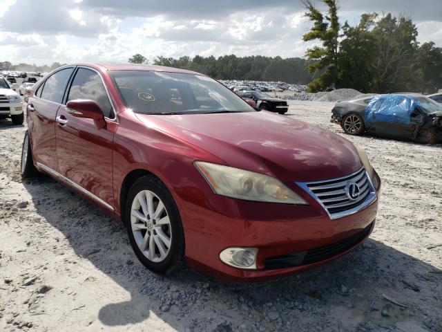 LEXUS ES 350 2010 jthbk1eg0a2377351