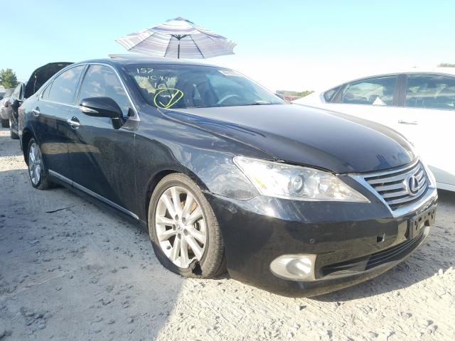 LEXUS ES 350 2010 jthbk1eg0a2382520