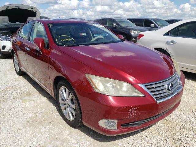 LEXUS ES 350 2010 jthbk1eg0a2383764