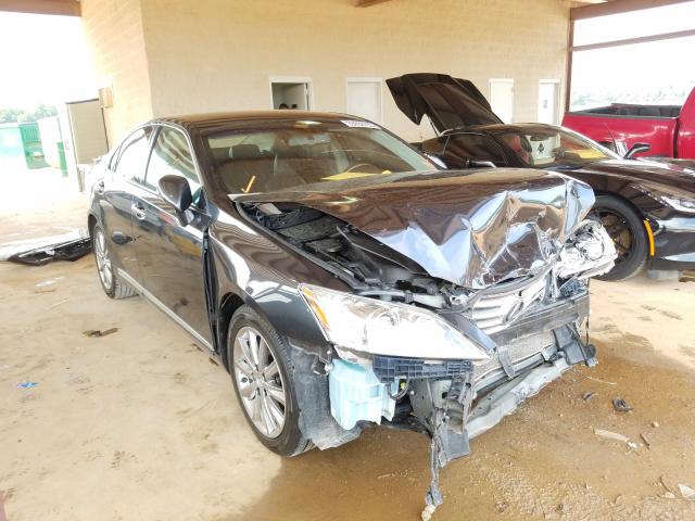 LEXUS ES 350 2010 jthbk1eg0a2384252