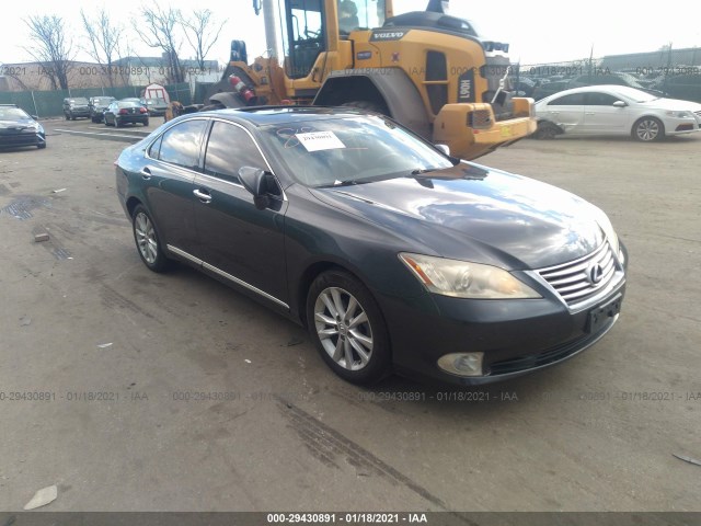 LEXUS ES 350 2010 jthbk1eg0a2386065