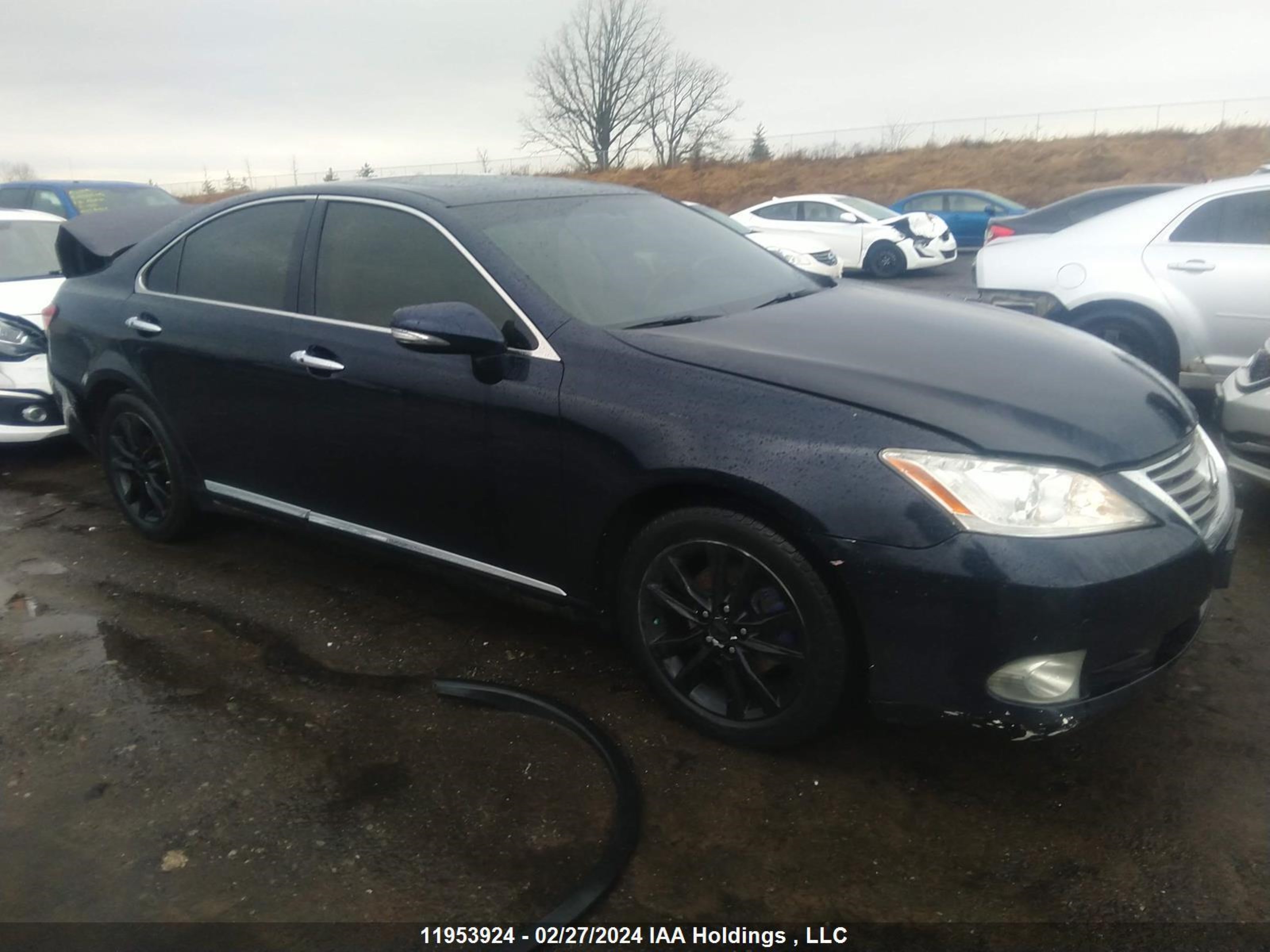 LEXUS ES 2010 jthbk1eg0a2386731