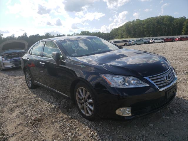 LEXUS ES 350 2010 jthbk1eg0a2387071