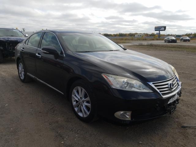 LEXUS ES 350 2010 jthbk1eg0a2388947