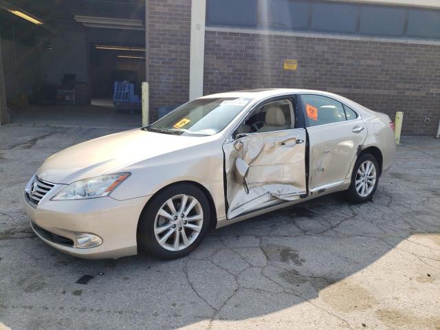 LEXUS ES 350 2010 jthbk1eg0a2389435