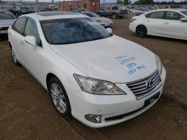 LEXUS ES 350 2010 jthbk1eg0a2392478