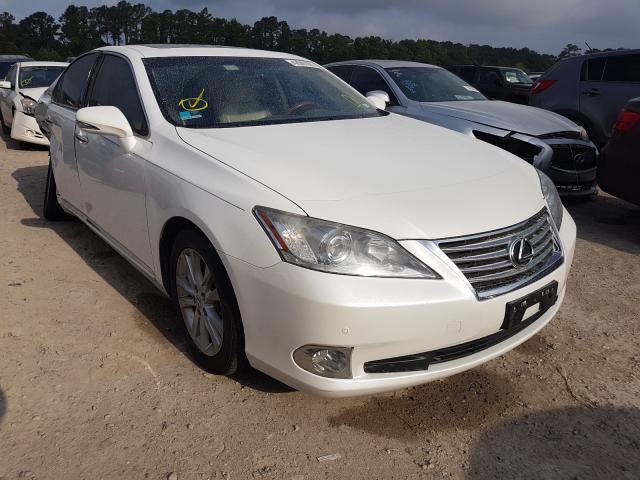 LEXUS ES 350 2010 jthbk1eg0a2392867