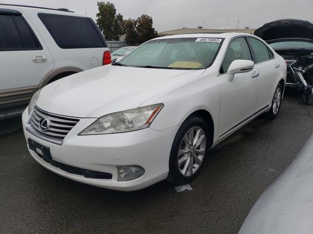 LEXUS NULL 2010 jthbk1eg0a2397311