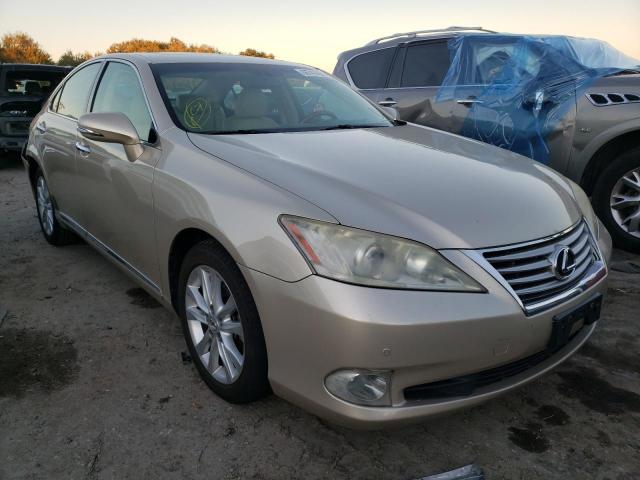 LEXUS ES 350 2010 jthbk1eg0a2400899