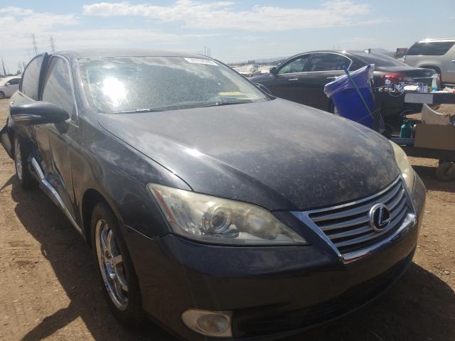 LEXUS ES 350 2010 jthbk1eg0a2403446