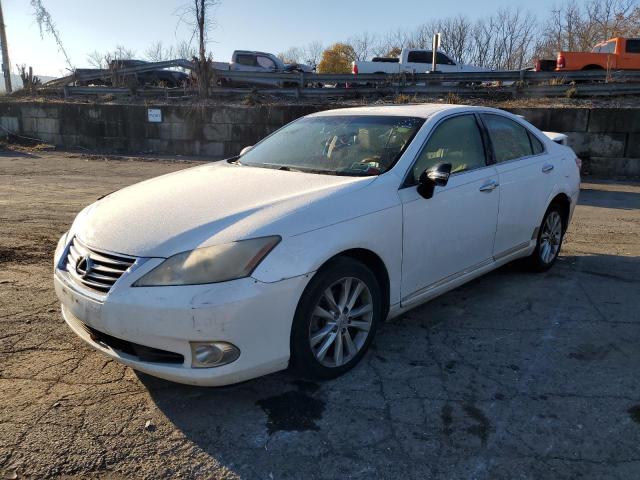 LEXUS ES350 2010 jthbk1eg0a2404435