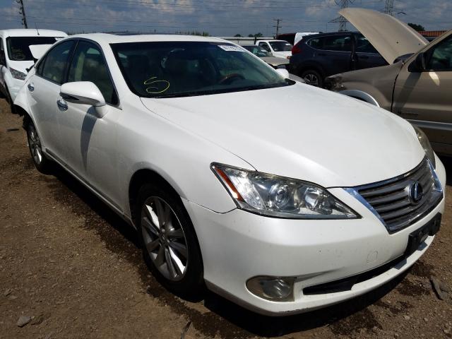 LEXUS ES 350 2010 jthbk1eg0a2404578