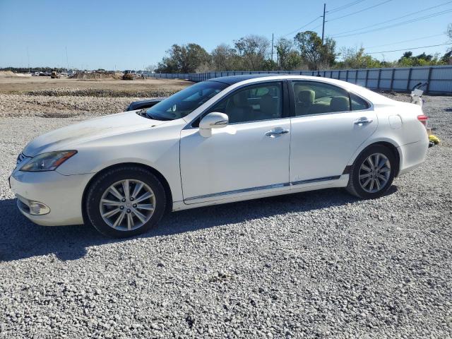 LEXUS ES 350 2010 jthbk1eg0a2406332