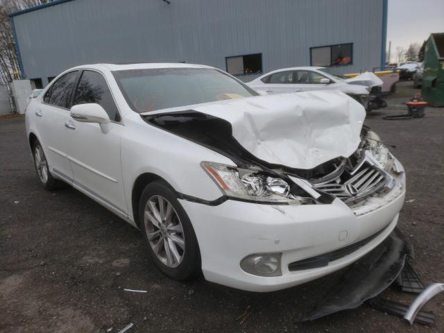 LEXUS ES 350 2010 jthbk1eg0a2408047