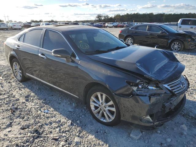 LEXUS ES 350 2010 jthbk1eg0a2410512