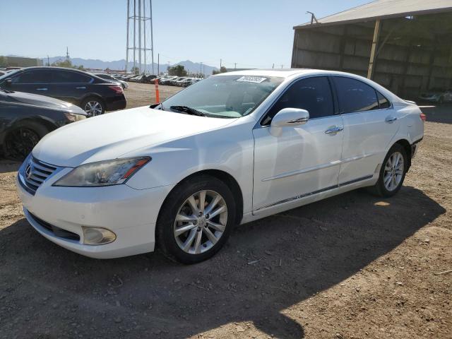 LEXUS ES 350 2010 jthbk1eg0a2412745