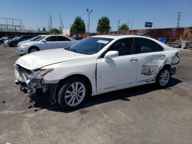 LEXUS ES 350 2010 jthbk1eg0a2413233