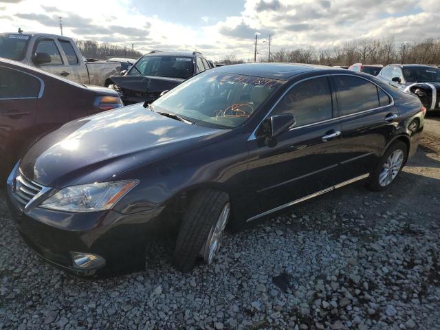 LEXUS ES 350 2010 jthbk1eg0a2413748