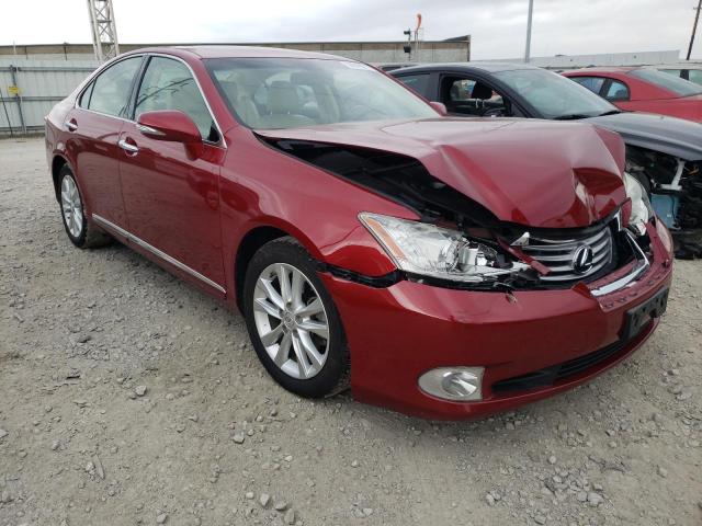 LEXUS ES 350 2011 jthbk1eg0b2427070