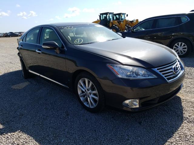 LEXUS ES 350 2011 jthbk1eg0b2431216