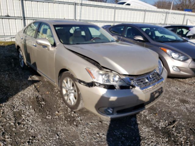 LEXUS ES 350 2011 jthbk1eg0b2435623