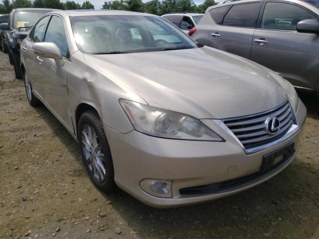 LEXUS ES 350 2011 jthbk1eg0b2454284