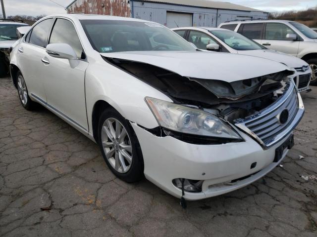 LEXUS ES 350 2012 jthbk1eg0c2509494