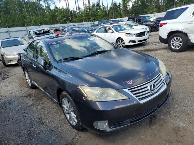 LEXUS ES 350 2010 jthbk1eg1a2343919