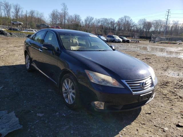 LEXUS ES 350 2010 jthbk1eg1a2344388