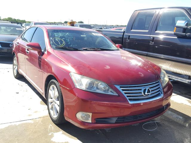 LEXUS ES 350 2010 jthbk1eg1a2345282