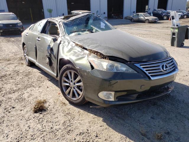 LEXUS ES 350 2010 jthbk1eg1a2346240