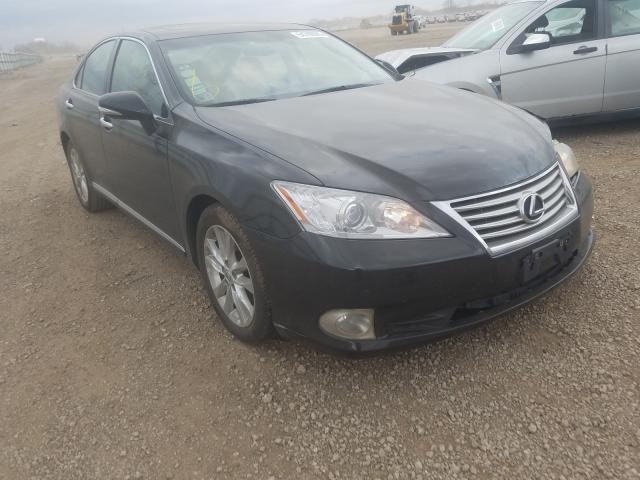 LEXUS ES 350 2010 jthbk1eg1a2348697