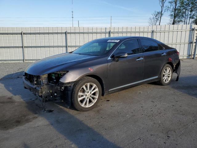 LEXUS ES 350 2010 jthbk1eg1a2348988