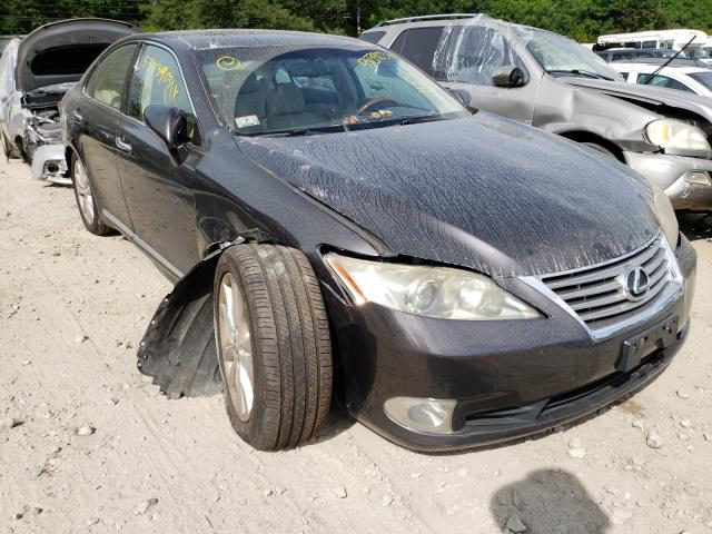 LEXUS ES 350 2010 jthbk1eg1a2351678