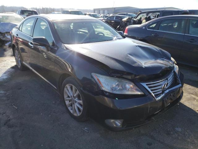 LEXUS ES 350 2010 jthbk1eg1a2352197