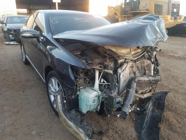 LEXUS ES 350 2010 jthbk1eg1a2352300