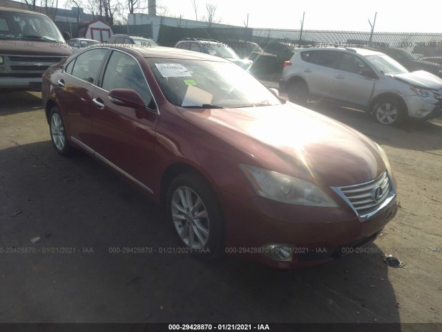 LEXUS ES 350 2010 jthbk1eg1a2352328