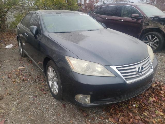 LEXUS ES 350 2010 jthbk1eg1a2352412