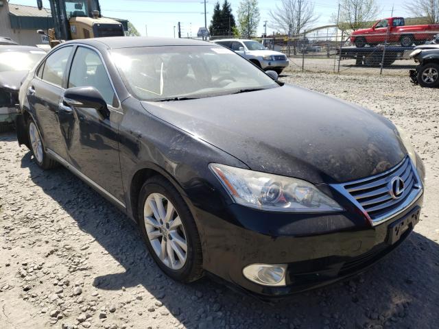 LEXUS ES 350 2010 jthbk1eg1a2352720