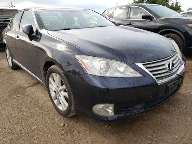 LEXUS ES 350 2010 jthbk1eg1a2355407