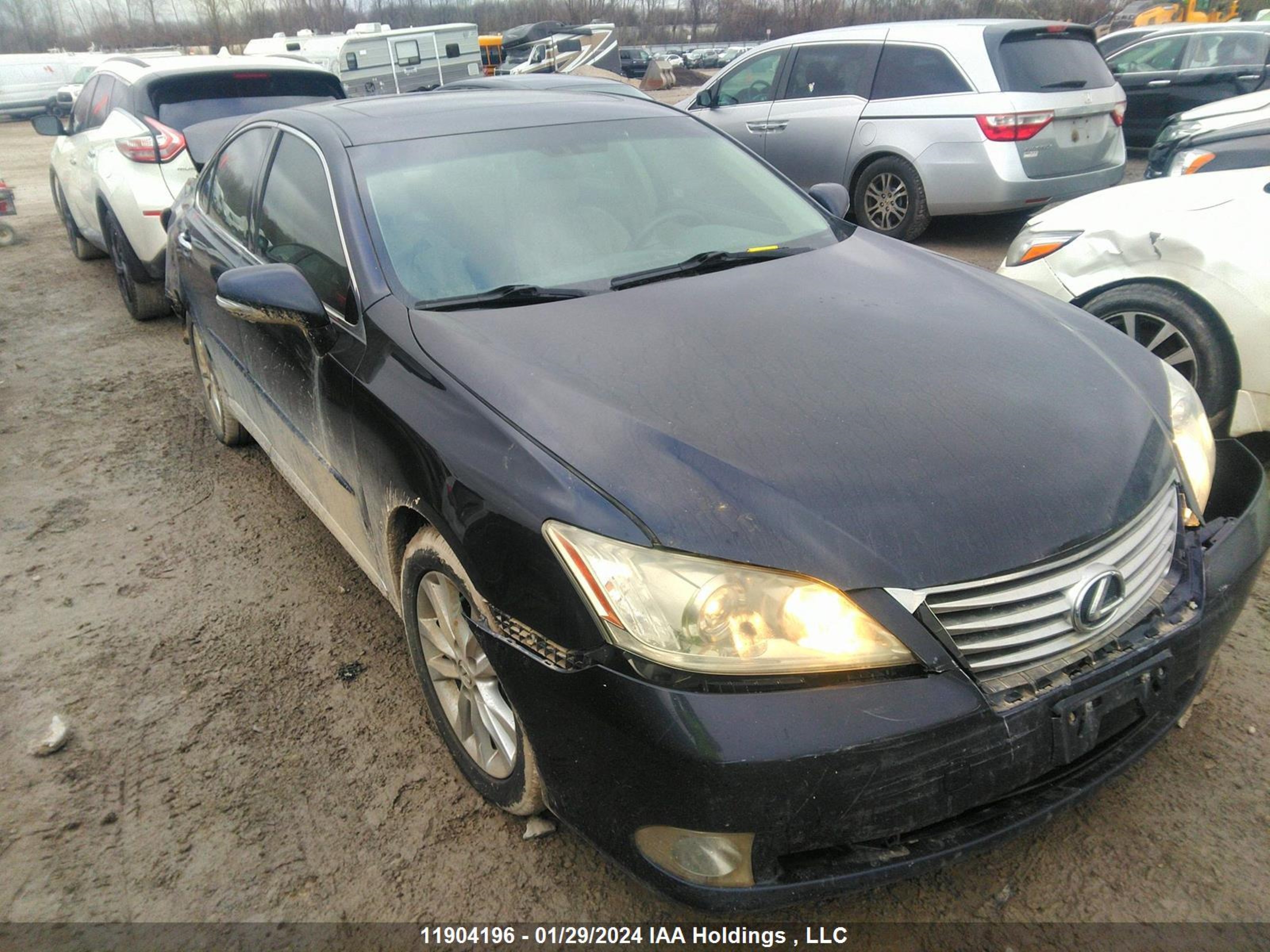 LEXUS ES 2010 jthbk1eg1a2355424