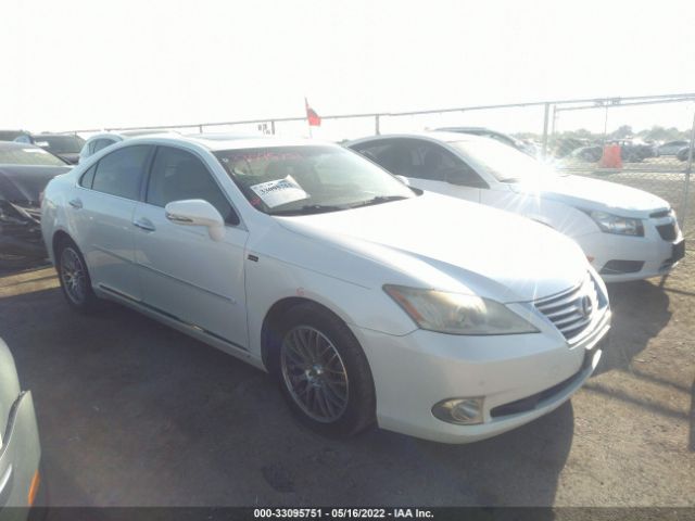 LEXUS ES 350 2010 jthbk1eg1a2357903